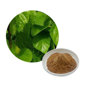 Mulberry leaf extract