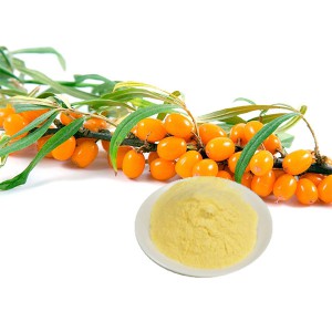 Seabuckthorn powder