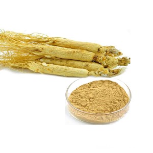 Ginseng Extract