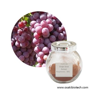 Grape Seed Extract