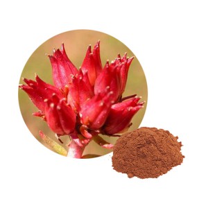 Rhodiola Rosea extract